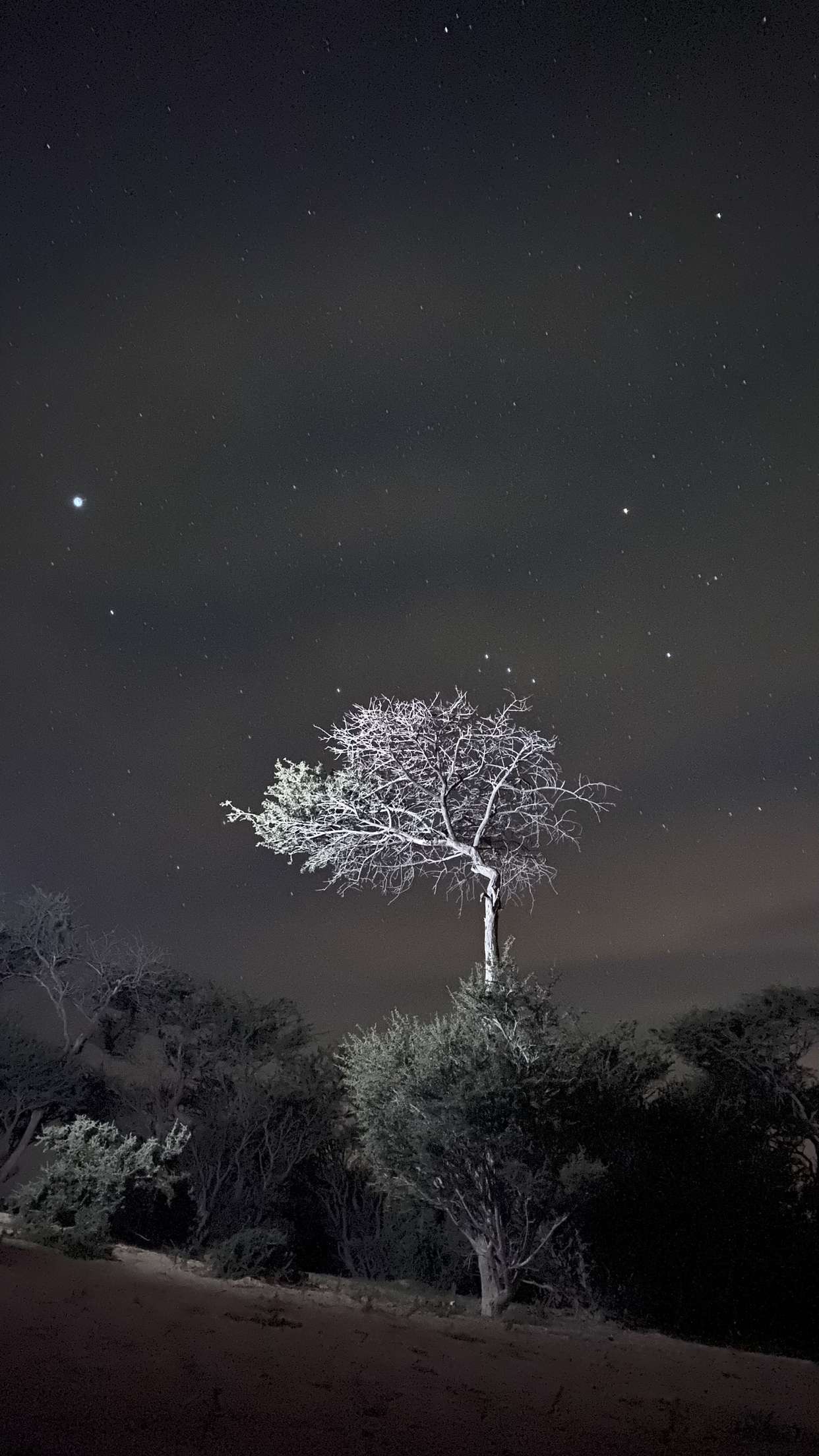 Under All the Stars